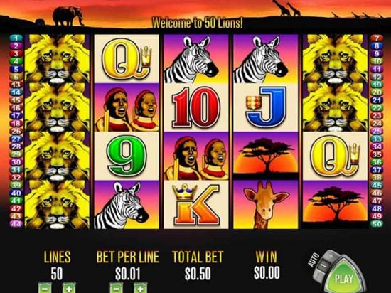 50 Lions