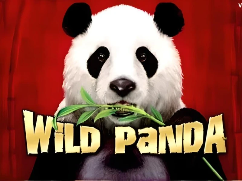 Wild Panda tragamonedas