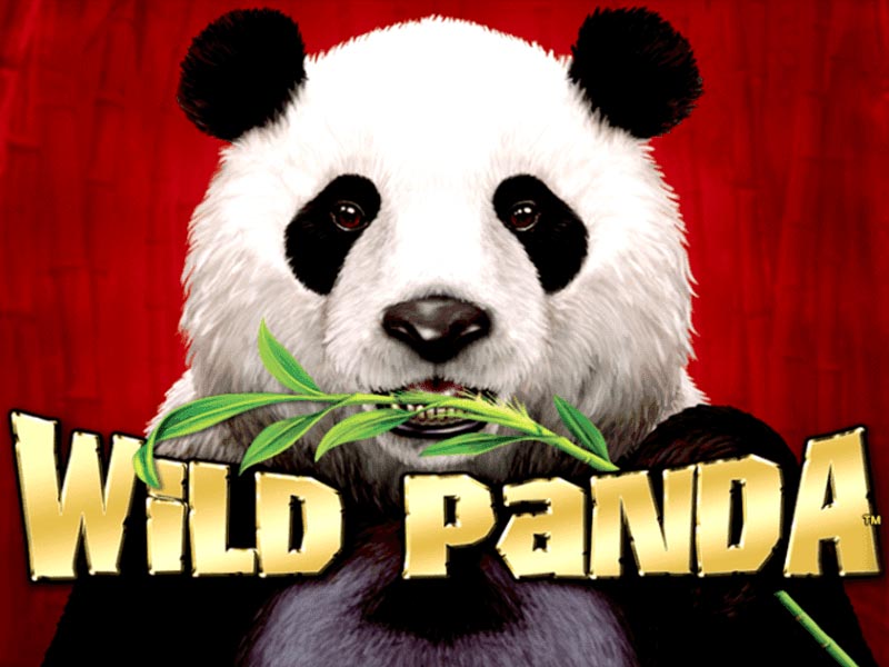 Скріншот Wild Panda з літерами бонусної послідовності P-A-N-D-A.