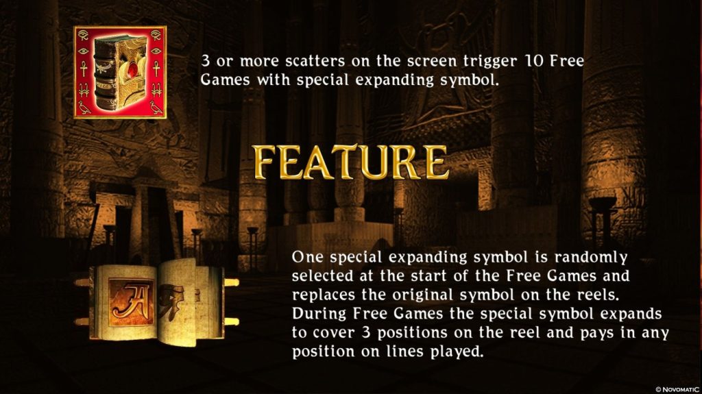 Знімок екрана Book of Ra deluxe від NOVOMATIC